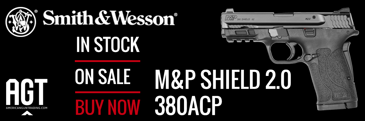 Smith & Wesson M&P Shield 2.0 380ACP